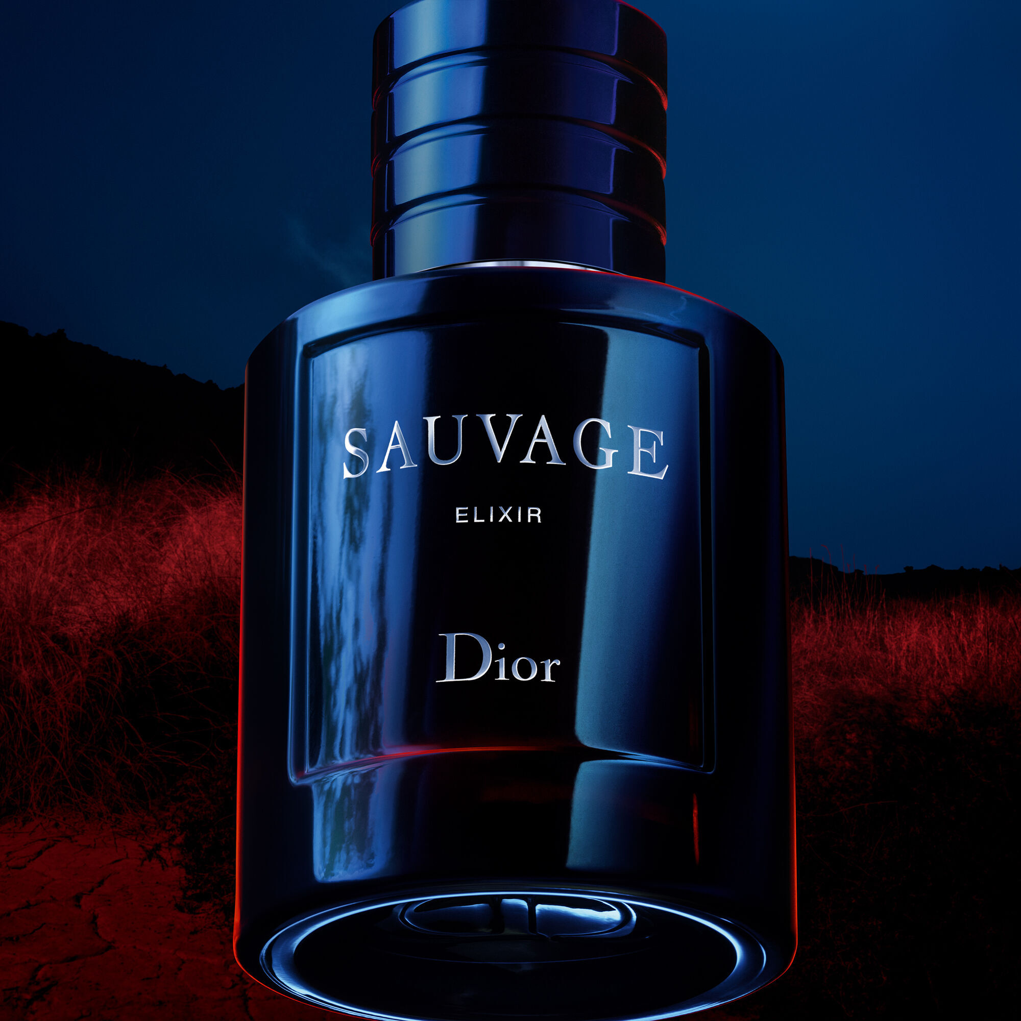 Perfume Sauvage Elixir Dior - Sephora